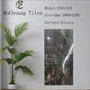 Glazed Polish Glossy Luxury Tiles