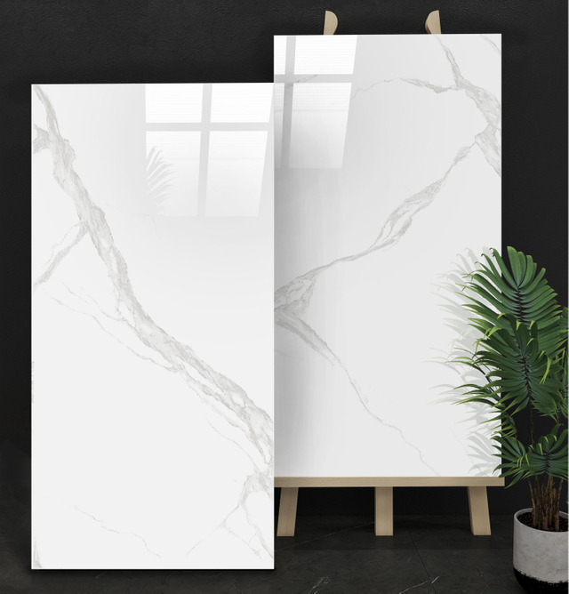 98202 Glazed Polish Tiles