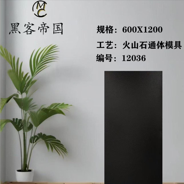 12036 Black Mould Matt Tiles