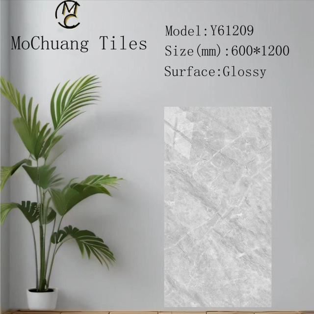 Y61209 Glazed Polish Tiles