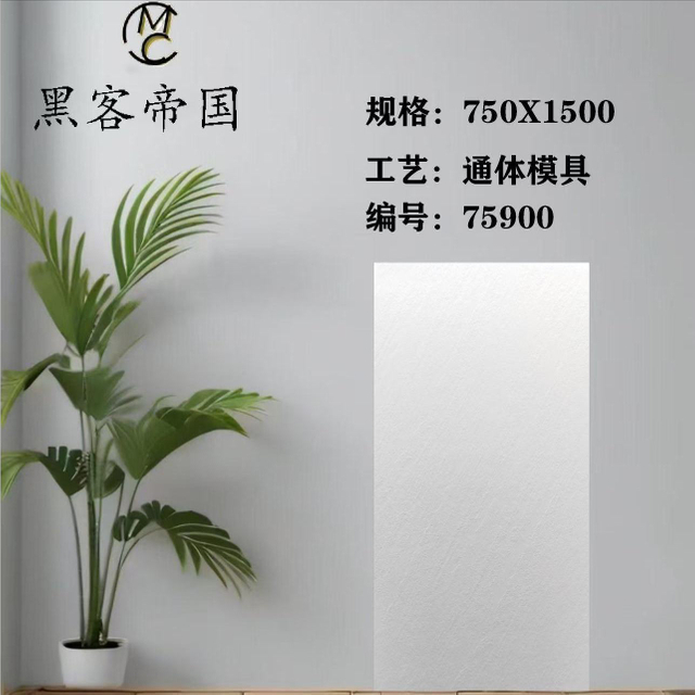 75900 Sandstone Mould White Matt Tiles