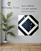 PH87003 Parquet Polish Tiles