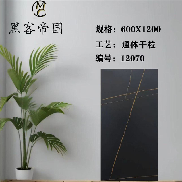 12070 Black Matt Tiles