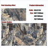 Gold Line Glossy Floor Tiles