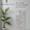 Y61203 Glazed Polish Tiles