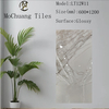 White Glazed Polish Floor Tiles