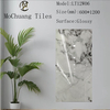 White Glazed Polish Floor Tiles