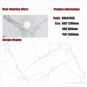 Gold Line Glossy Floor Tiles