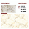 Gold Line Glossy Floor Tiles