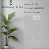 Glazed Polish Glossy Tiles