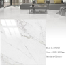 Glossy Floor Tiles