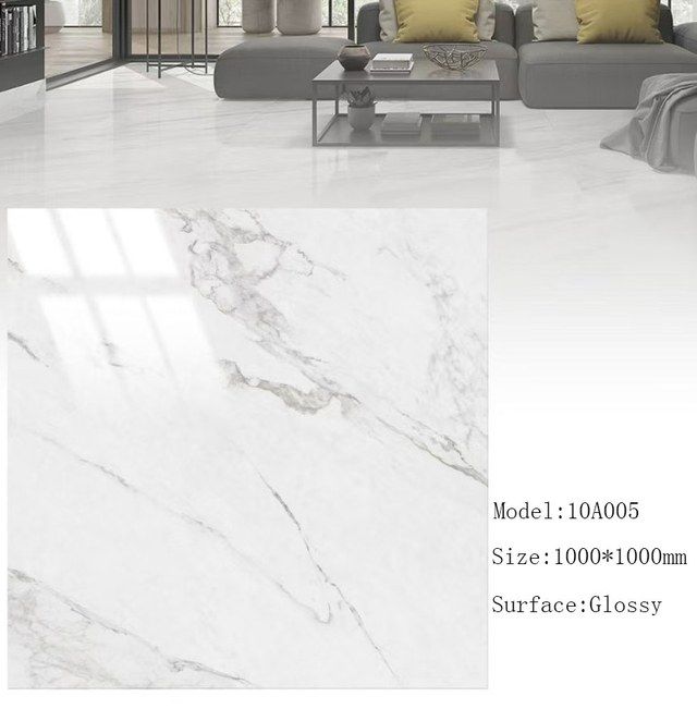 Glossy Floor Tiles