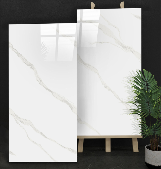 918Y010 Glazed Polish Tiles