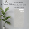 Glazed Polish Glossy Tiles