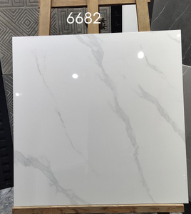 60x60 cm Glossy Floor Tiles