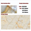 Gold Line Glossy Floor Tiles