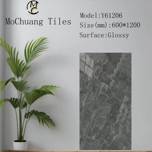 Y61206 Glazed Polish Tiles