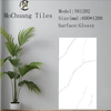 Y61202 Glazed Polish Tiles