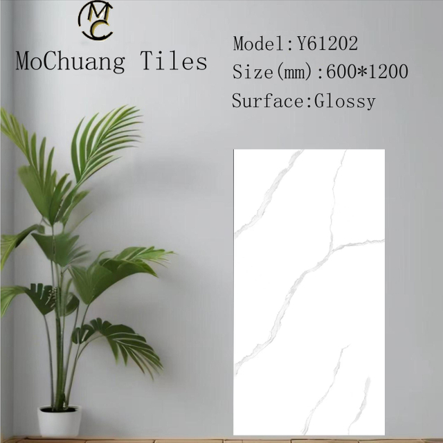 Y61202 Glazed Polish Tiles