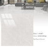 Glazed Polish Floor Tiles