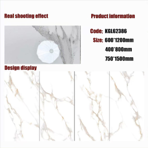 Gold Line Glossy Floor Tiles