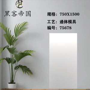 75678 Slate Mould White Matt Tiles