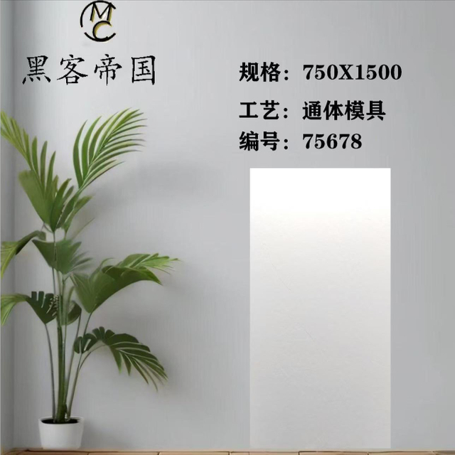 75678 Slate Mould White Matt Tiles