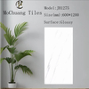 Glazed Polish Glossy Tiles