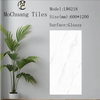 Glazed Polish Glossy Tiles