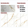 Gold Line Glossy Floor Tiles