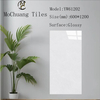 Glazed Polish Glossy Tiles