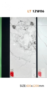 60x120 cm Glazed Polish Floor Tiles