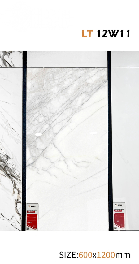 60x120 cm Glazed Polish Floor Tiles