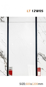 60x120 cm Glazed Polish Floor Tiles