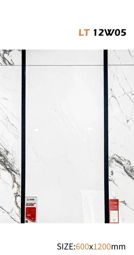 60x120 cm Glazed Polish Floor Tiles